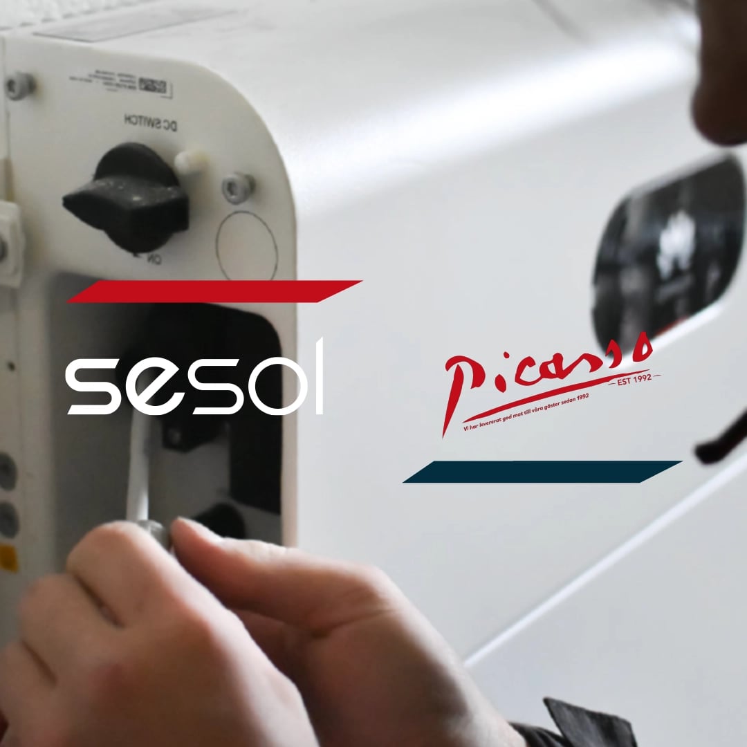 Sesol och Pizzera Picasso