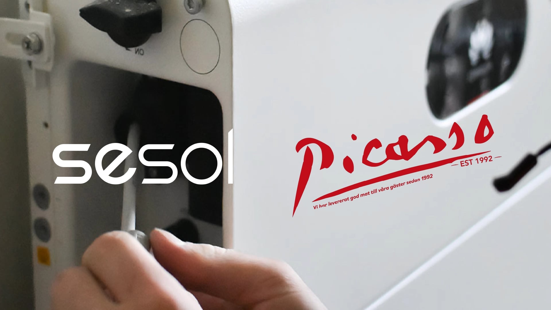 Sesol och Pizzera Picasso