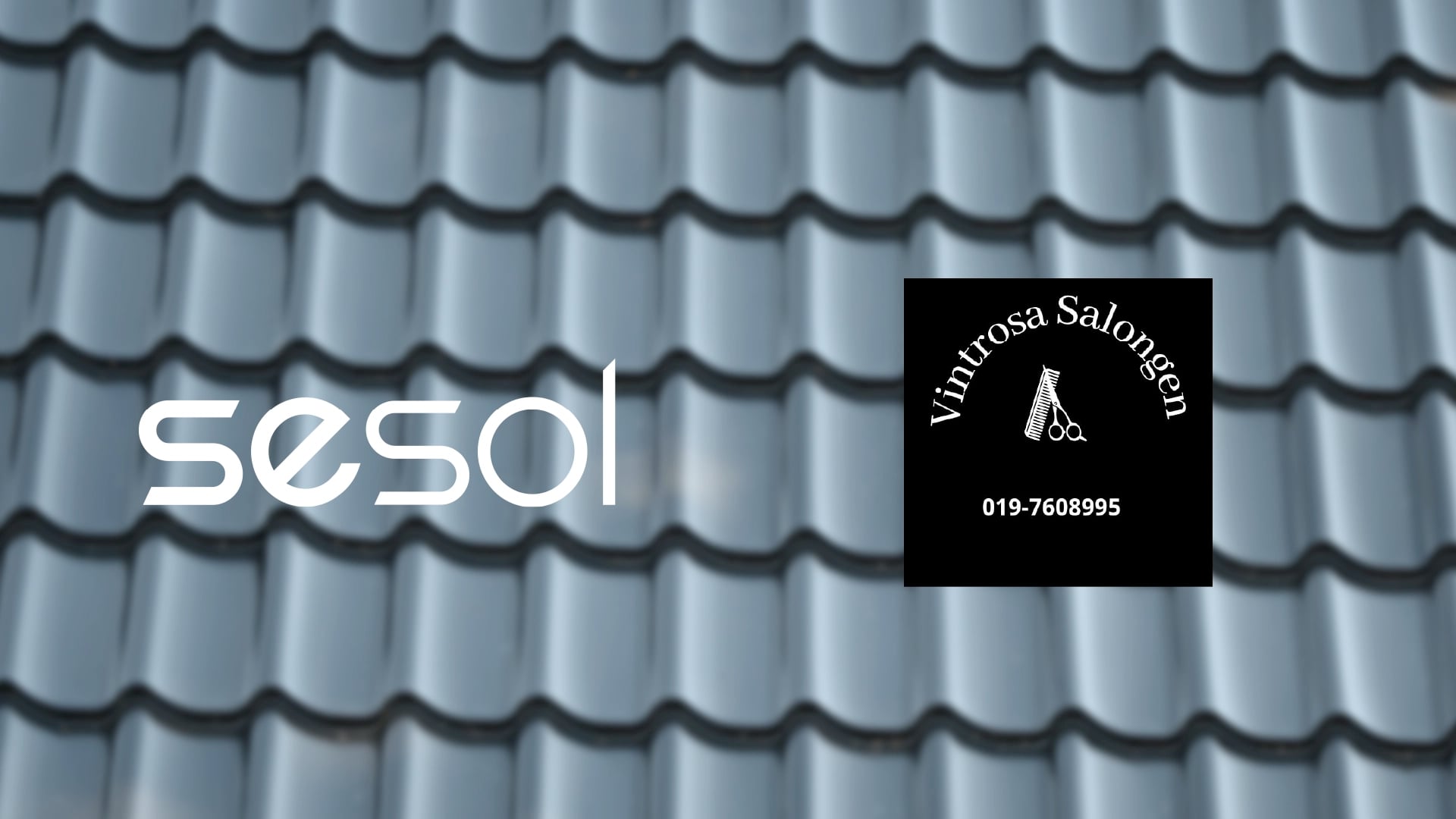 Sesol och Vintrosa salongen logga